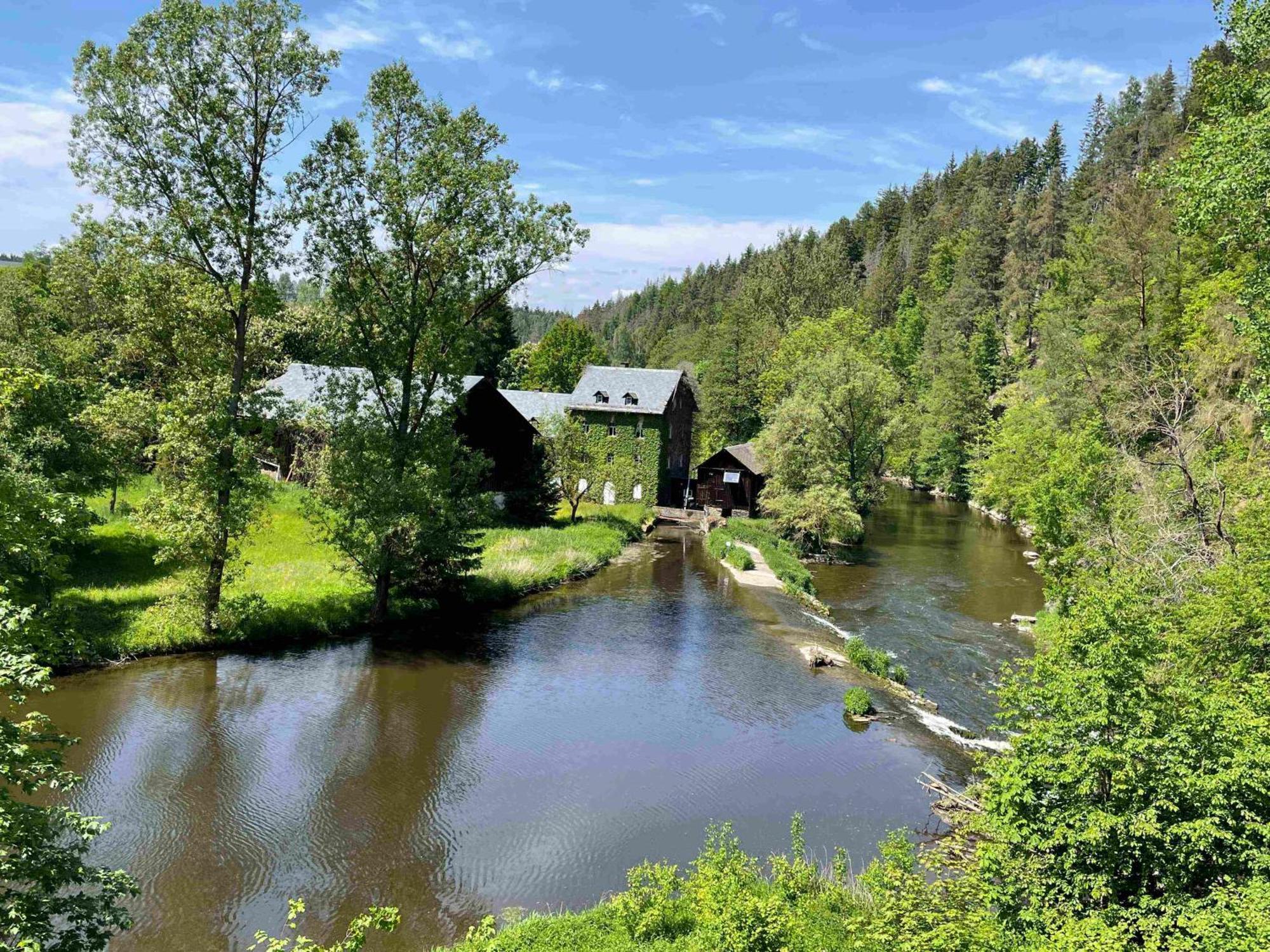 Chalet-Ferienwohnung Schlossblick, 51 Qm, Wellness/Fitness/Sauna - Bergroedelhof Feilitzsch エクステリア 写真